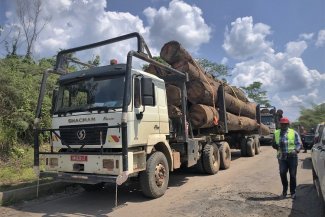 Foresters in Gabon struggle to make their voices heard in international discussions on environmental protection